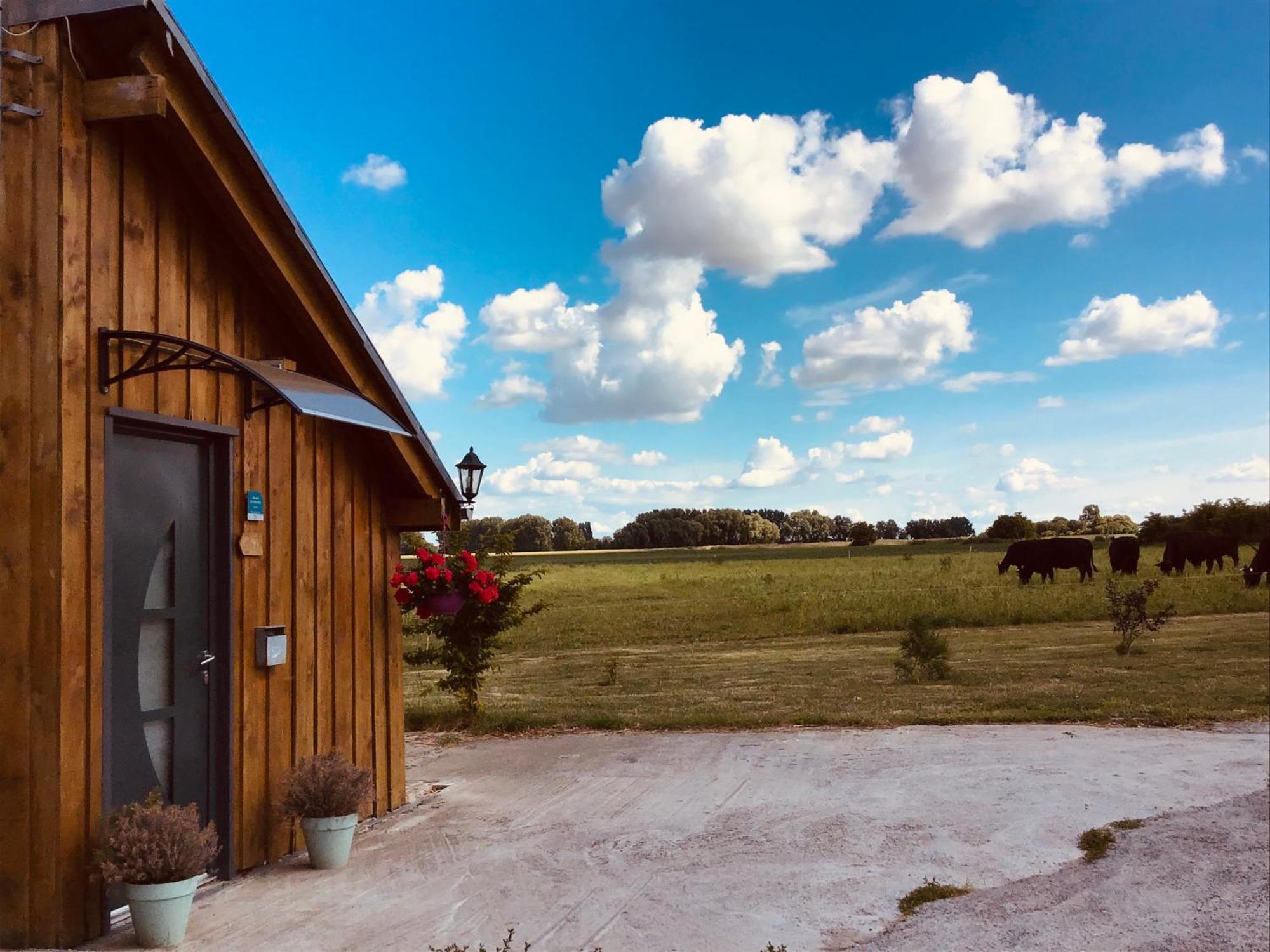 Le Chalet De La Ferme Du Tertre Villers-au-Tertre Quarto foto